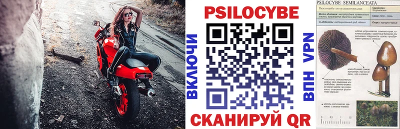 Псилоцибиновые грибы мухоморы  Юрьев-Польский 